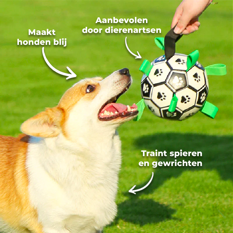 PawSoccer hondenspeelgoed - De voetbal voor honden