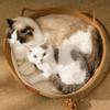 Kat Cozy Nest - Japanse Geweven krab kattenmand