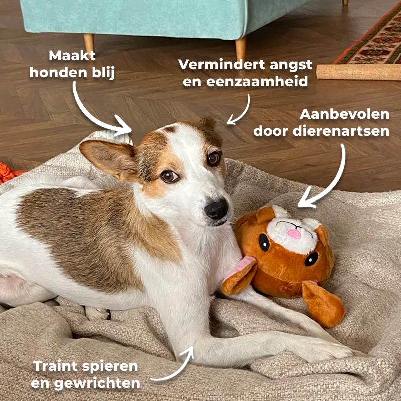 BounceBuddy - De Speelbal die Nooit Moe wordt