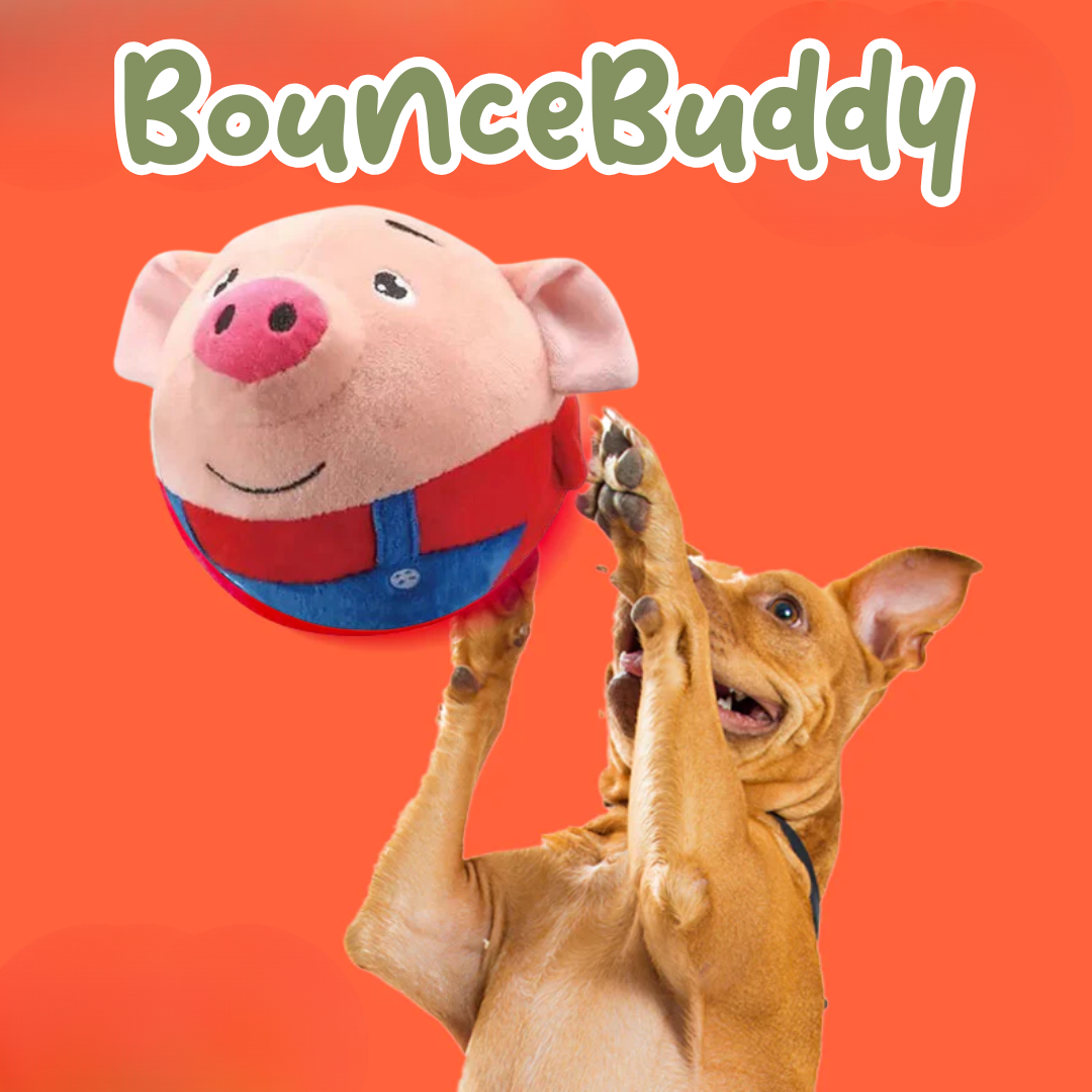 BounceBuddy - De Speelbal die Nooit Moe wordt