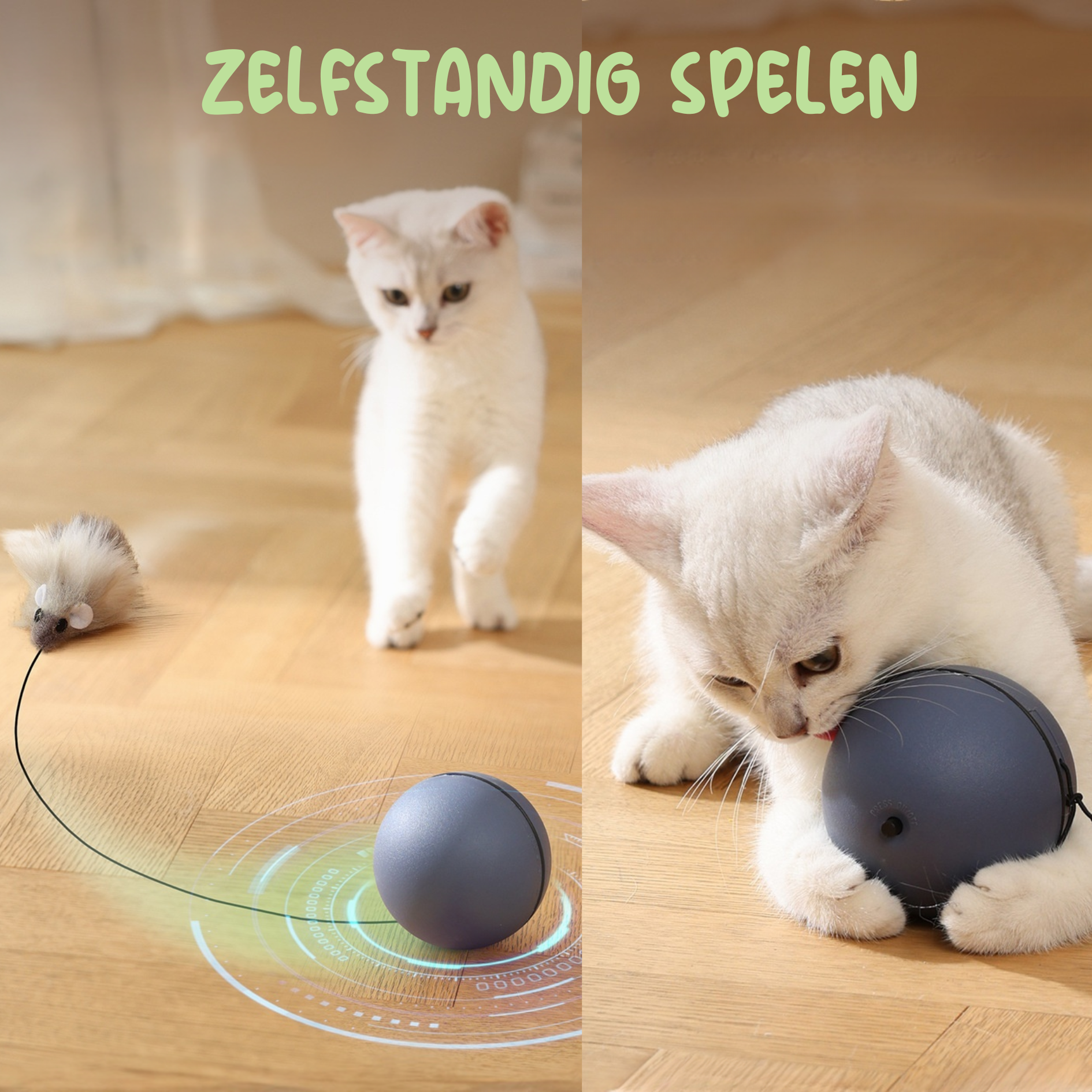 kattenspeeltje zelfstandig spelen kat